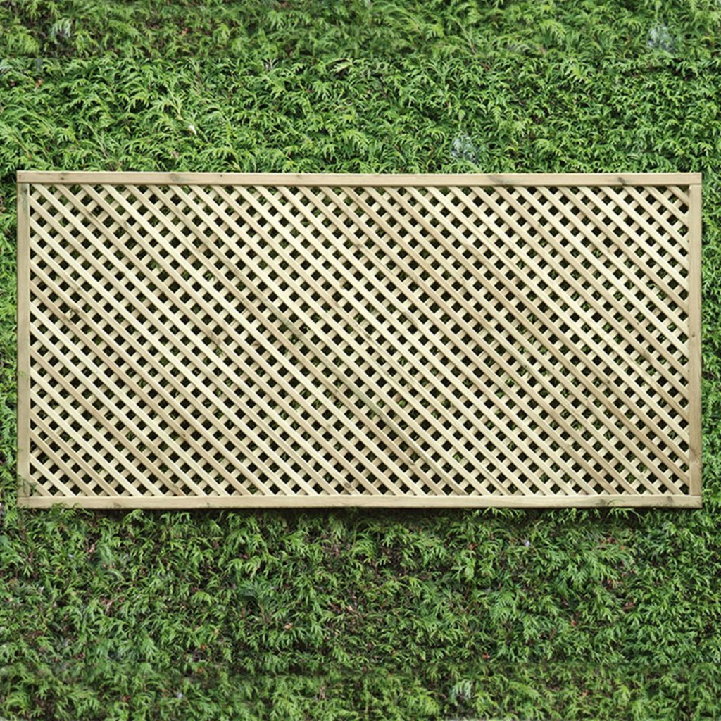 1.2m trellis