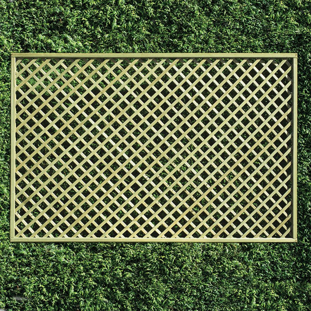 1.5m trellis