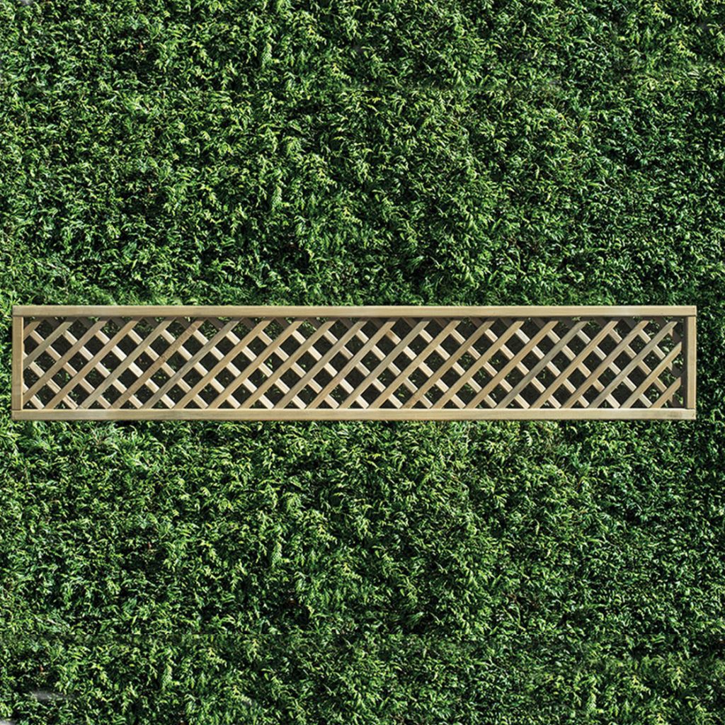 40mm trellis